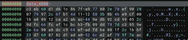 high entropy data located at 0x4080